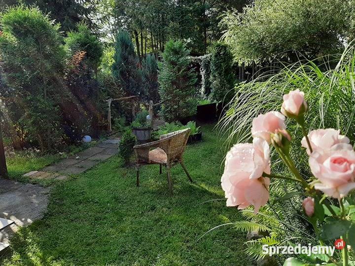 Działka ROD w Wolicy Wolica