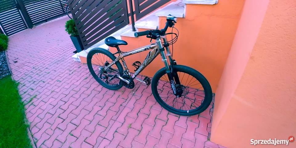 Rower Anaconda Silverfox 26