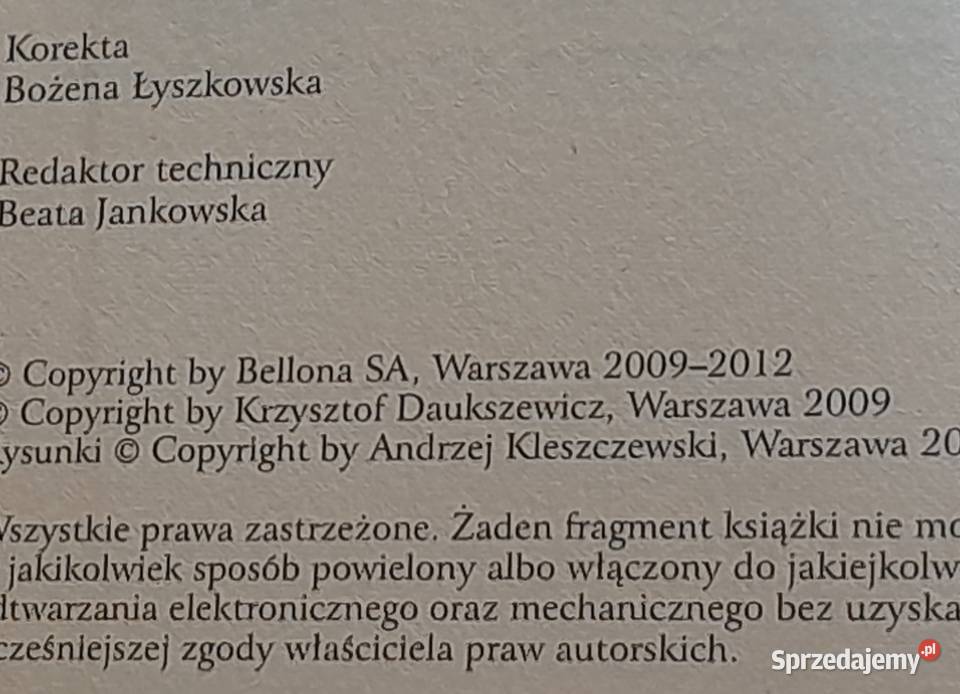 Książka Pamiętnik IV Rzepy Krzysztof Daukszewicz
