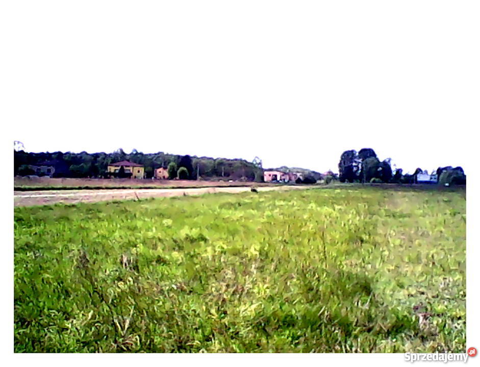 Działka budowlana Kuźnica Podleśna śląskie 349.5m śląskie Warężyn