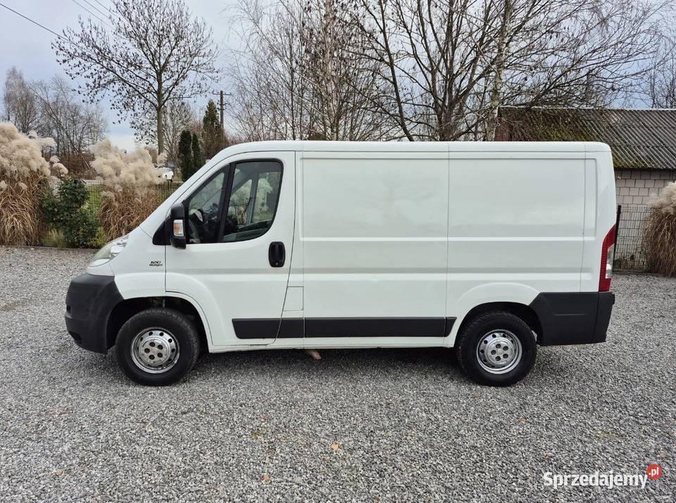 Fiat Ducato Super Stan Bez rdzy Klima Opłacony Fiat Kazimierz Dolny