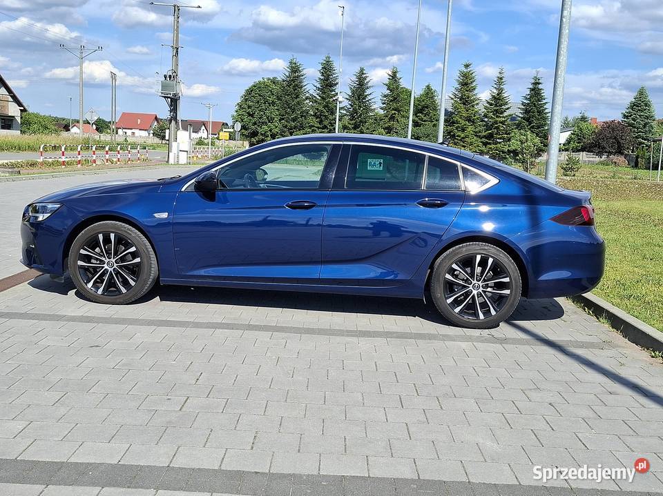 Opel Insignia Skóra Alcantara BOSE nawigacja Morawica
