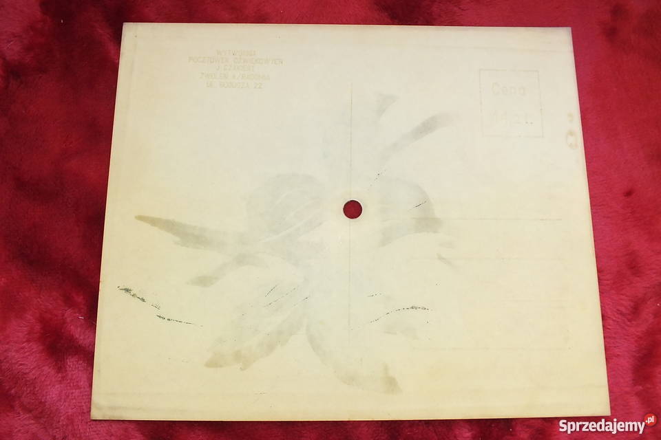 Stara pocztówka dźwiękowa HomoHomini Żary sprzedam