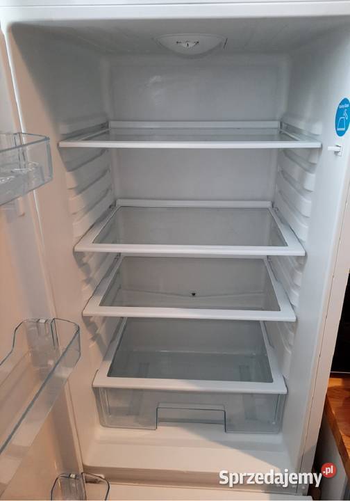 Lodówka wolnostojąca Amica FK2613AA Lodówki i zamrażarki