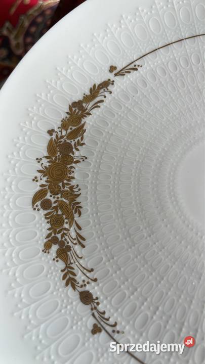 Patera Duży talerz Rosenthal Medley Coloures pomorskie Gdańsk sprzedam