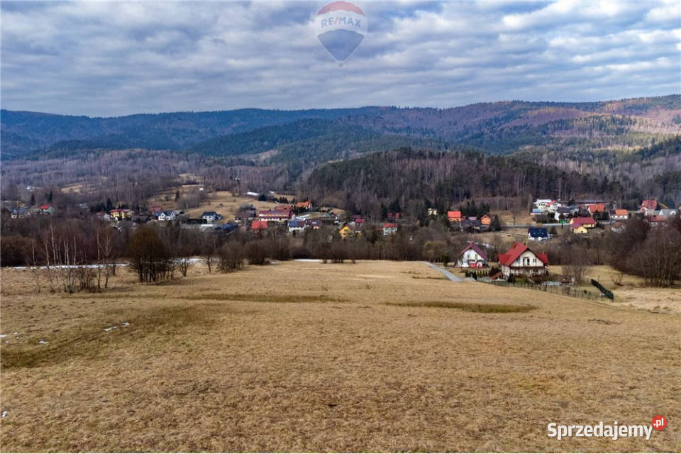 Duża działka 30 arów z 2 HA prywatnego lasu Las