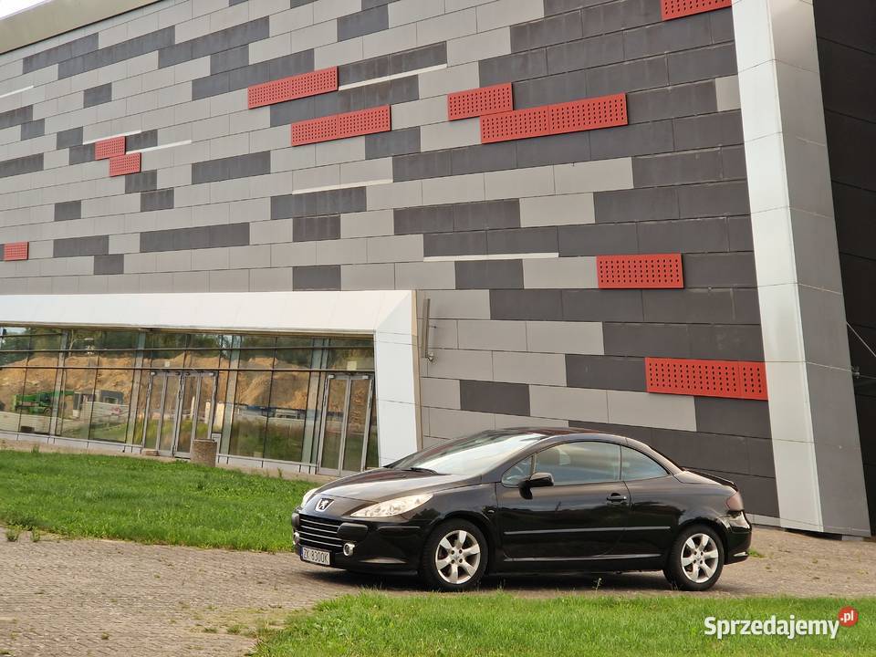 Peugeot 307cc 16 109 benzyna