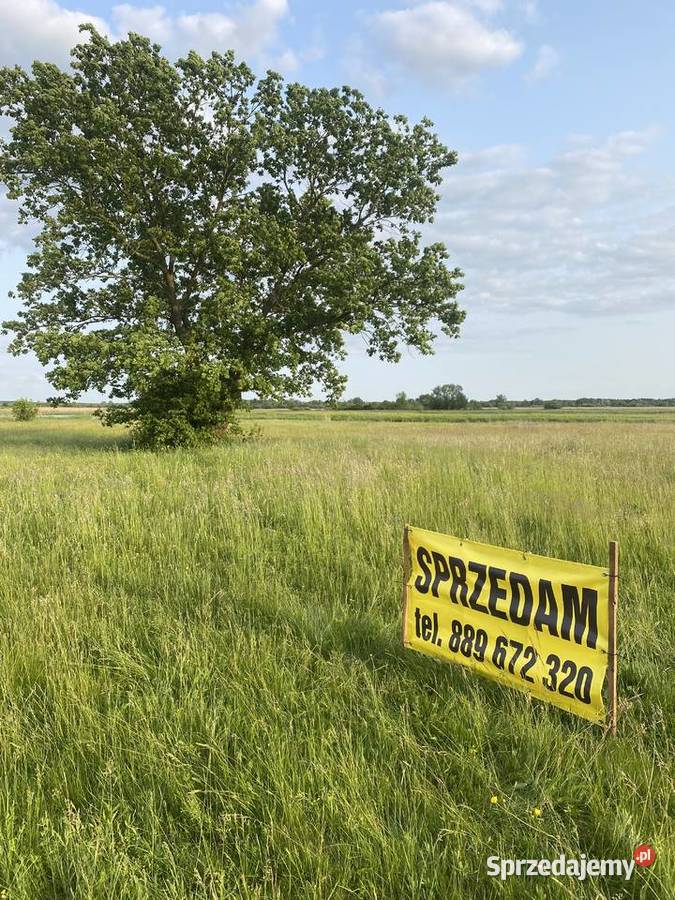 Sprzedam łąkę na Budach Starych gmina Brańszczyk sprzedam