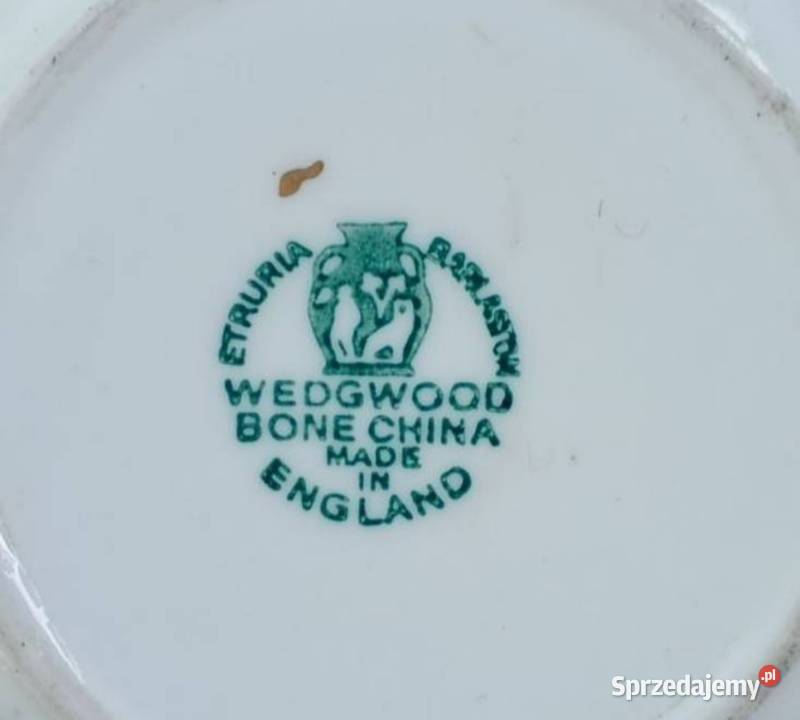 Wedgwood of Etruria Barlaston Moss Rose paterka Pabianice
