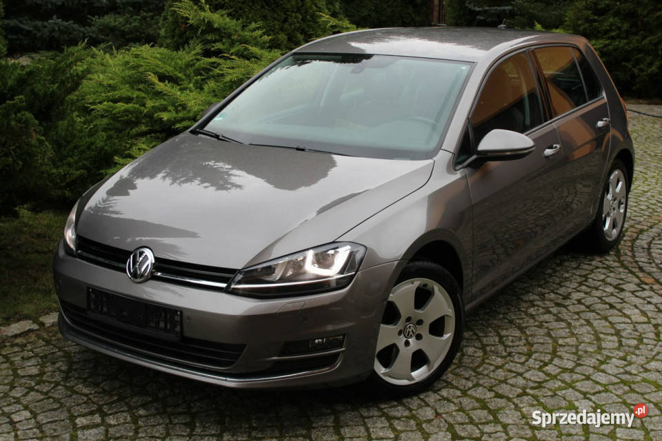 Volkswagen Golf 20 TDI 150 Automat DSG 188 VII przyciemniane szyby dolnośląskie