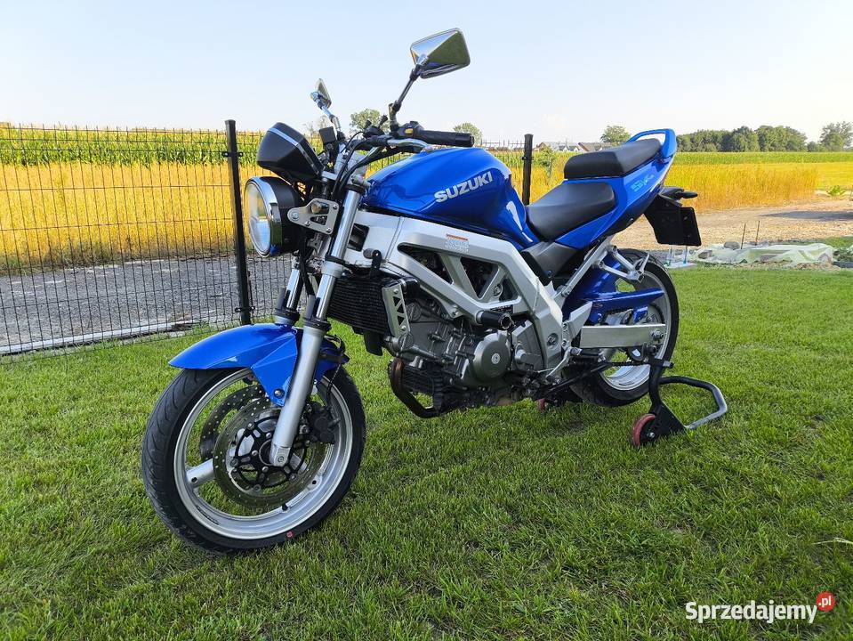 Suzuki SV 650 2004 Delkevic