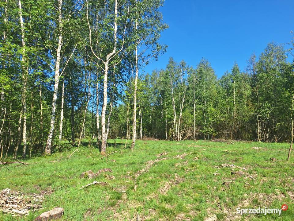 Działki w Małej Kamienicy budowlana