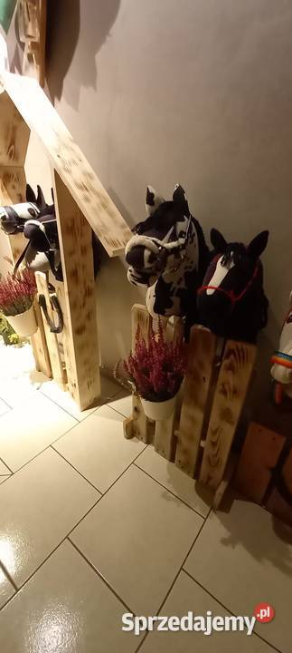 Hobby horse stajnia stojak opolskie Opole