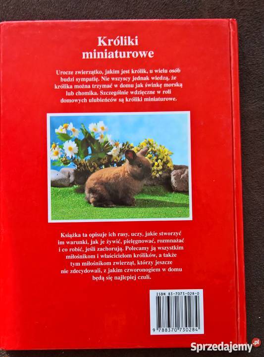 Króliki miniaturowe Michael Mettler zwierzęta domowe i hodowlane