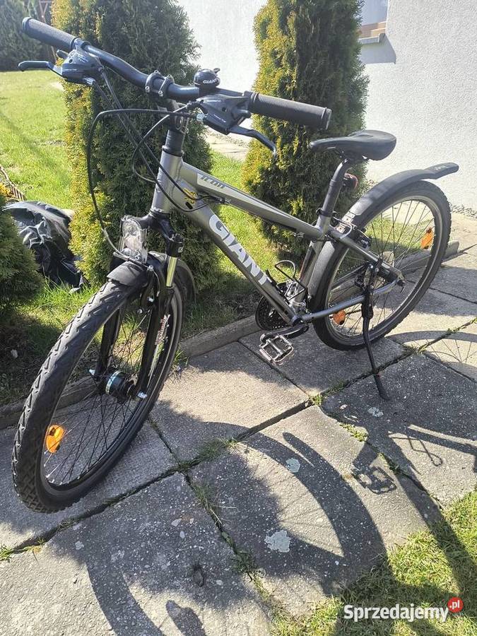 Rower Giant Wilkowice