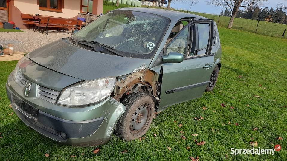 Drzwi lewe prawe przód tył Renault Scenic II osobowe