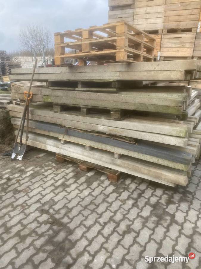 Słupki sadownicze betonowe 3m słupki Rosochów