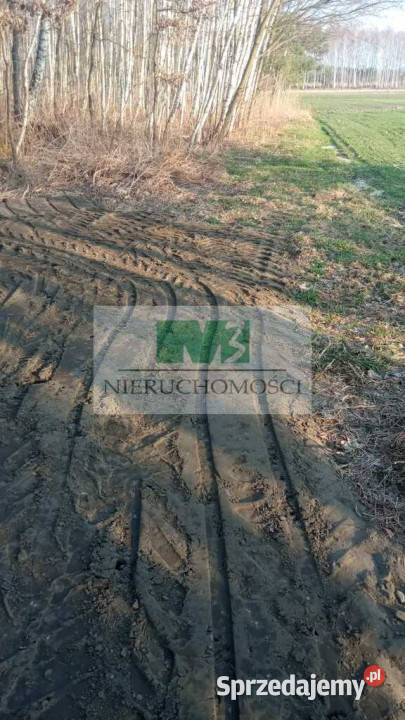 NA SPRZEDAŻ DZIAŁKA W OTOCZENIU LASU W JELNEJ