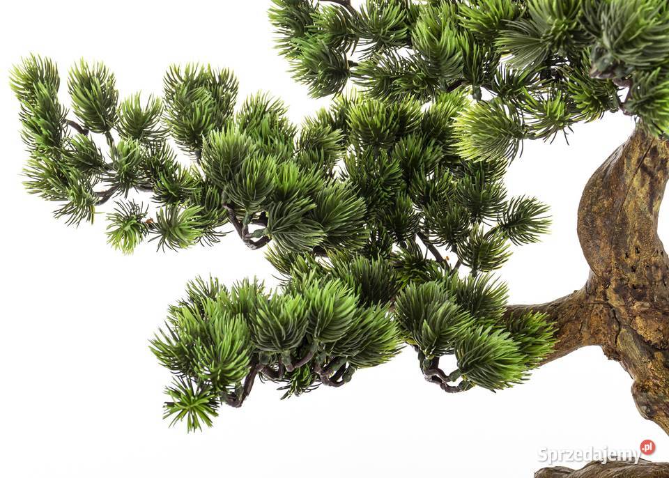 Sztuczne drzewko Bonsai Premium w doniczce Golkowice