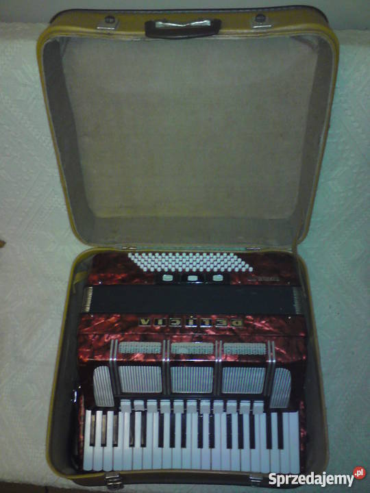 Akordeon Delicia Nieledew