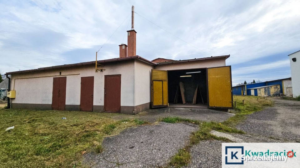 Lokal Krosno 420m2