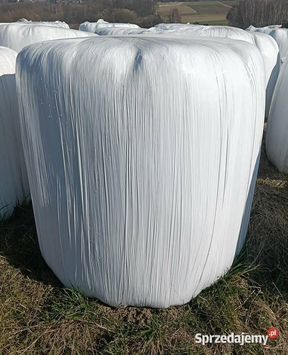 Bele sianokiszonka 2025 Moszczenica