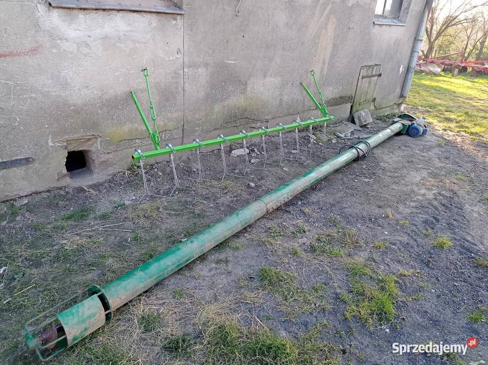 Żmijka 6 metrów nieuszkodzony kujawsko-pomorskie Krążno sprzedam