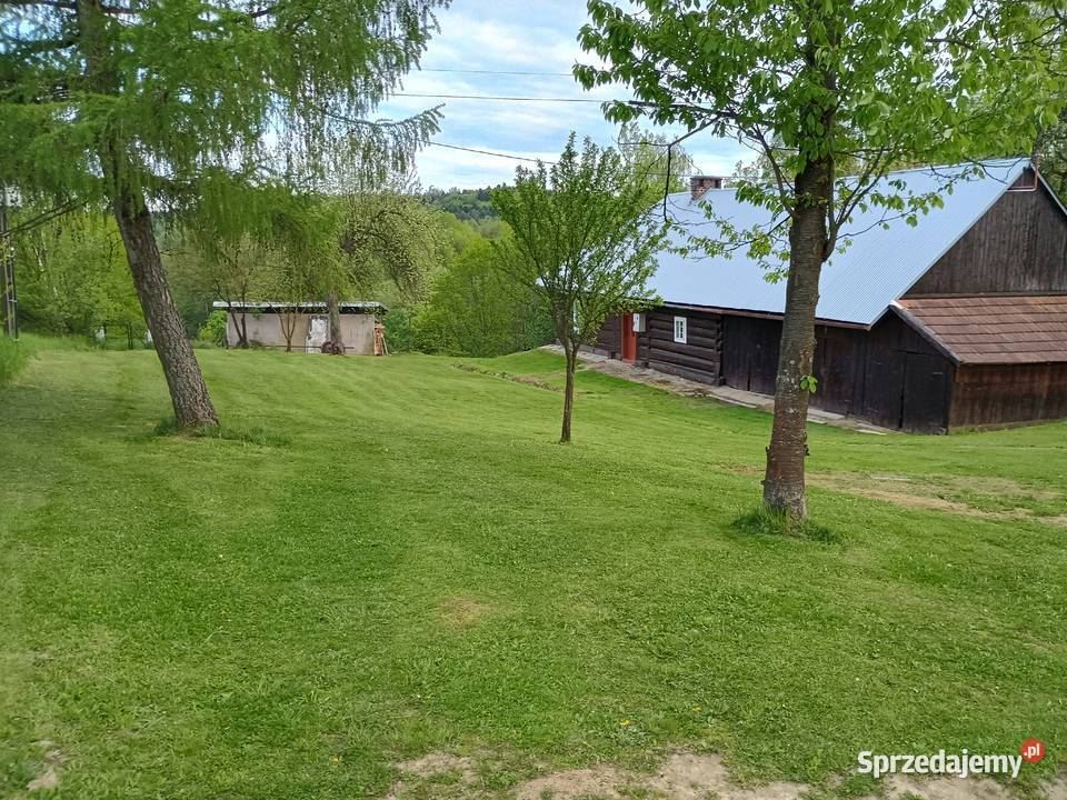 Dom drewniany do zamieszkania działka 24ary 2400m2 Malinówka