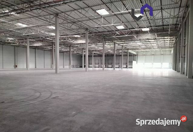 Lokal 6000m2 Sosnowiec