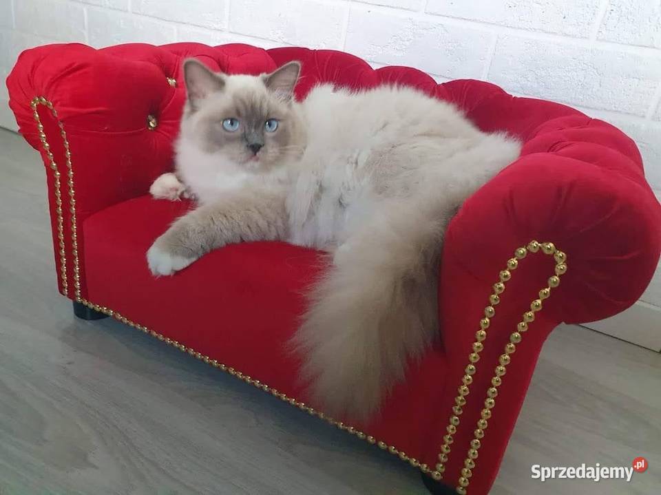 Legowisko kanapa glamour psa kota 100 kolorów