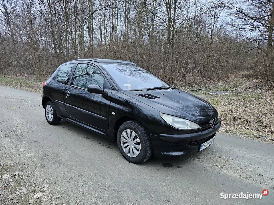Peugeot 206 14 benzyna klimatyzacja wielkopolskie Koźminek