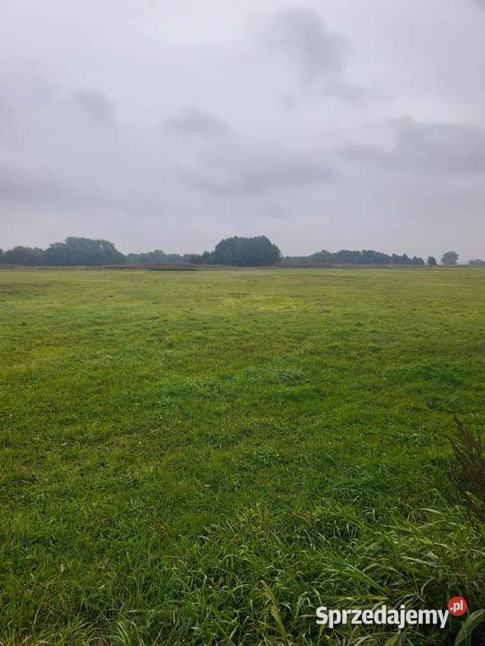 DWIE ŁĄKI W MIEJSCOWOŚCI LĄDEK GMINA LĄDEK Lądek