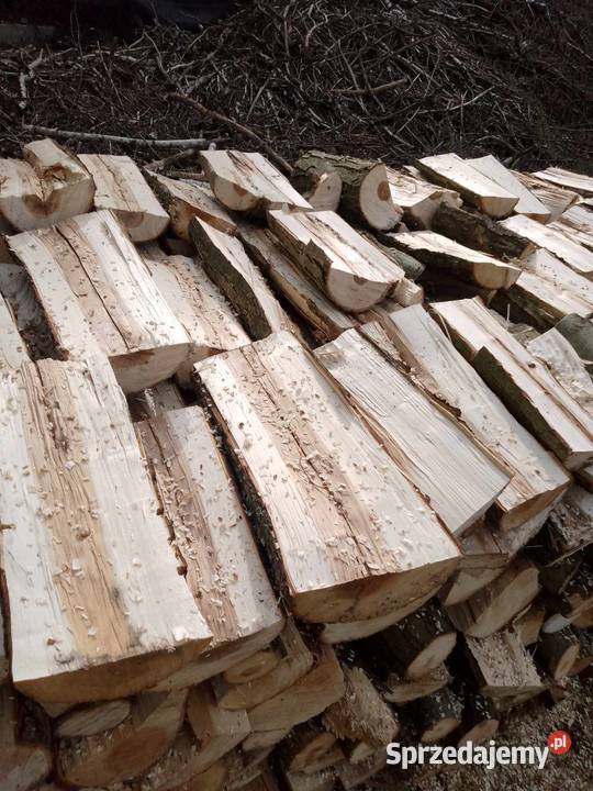 drzewo opałowe Sosnatopoladąbbrzoza z