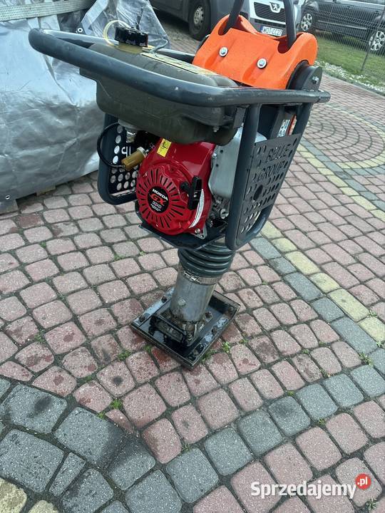 Skoczek zagęszczarka ubijak belle Honda wynajem Celestynów