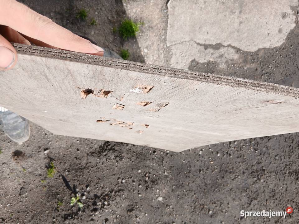 Wiatrówka sprężynowa 45mm śrut Dębnica