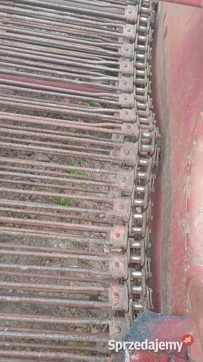 Kopaczka do ziemniaków Szydłów sprzedam