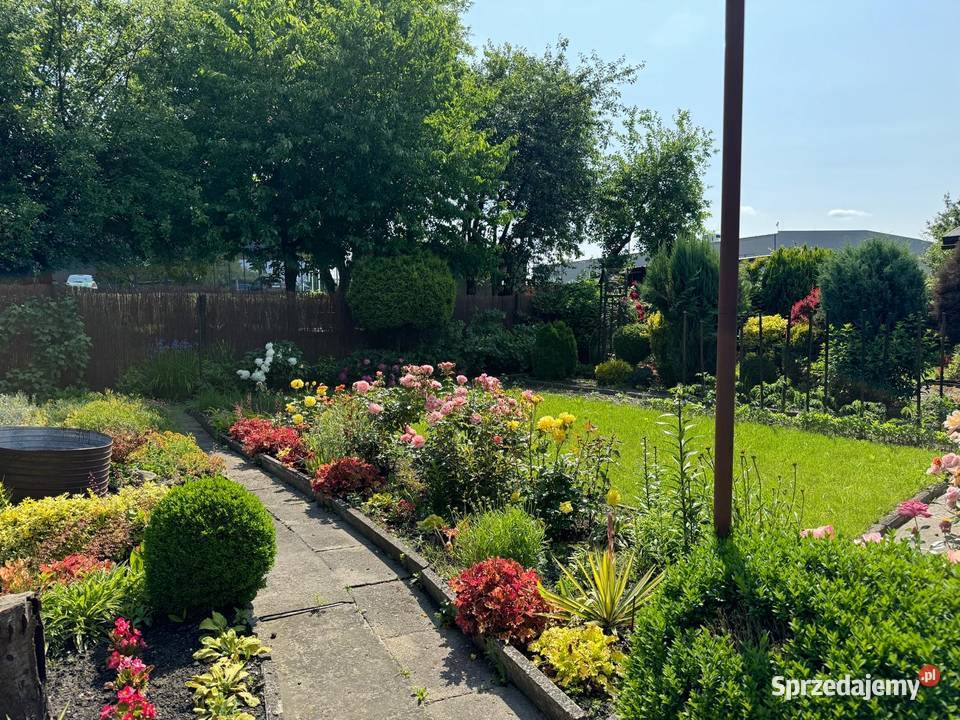 Ogrodek Dzialkowy ROD Jutrzenka Gliwice