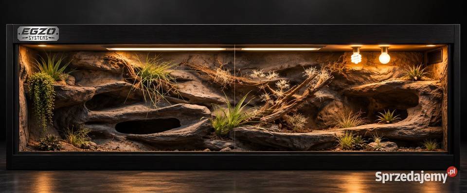 Terrarium profesjonalne gekona lamparciego agamy śląskie Jaworzno