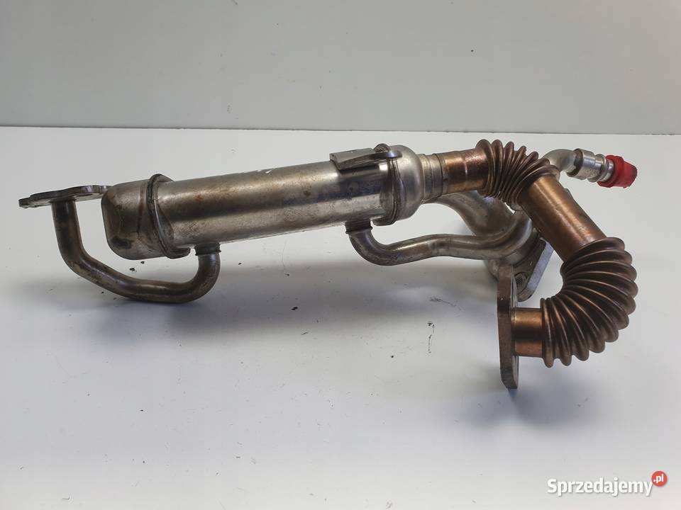 Renault Clio IV 15 DCi CHŁODNICA SPALIN EGR Rudka