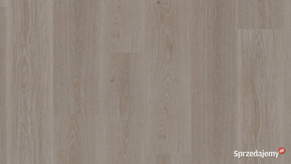 TARKETT Podłoga winylowa Highland Oak Taupe lubuskie