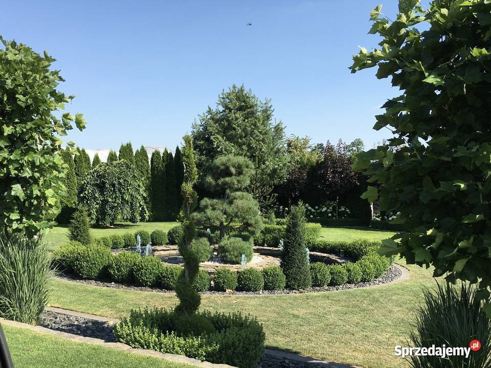 USŁUGI OGRODNICZE koszenie wycinka karczowanie