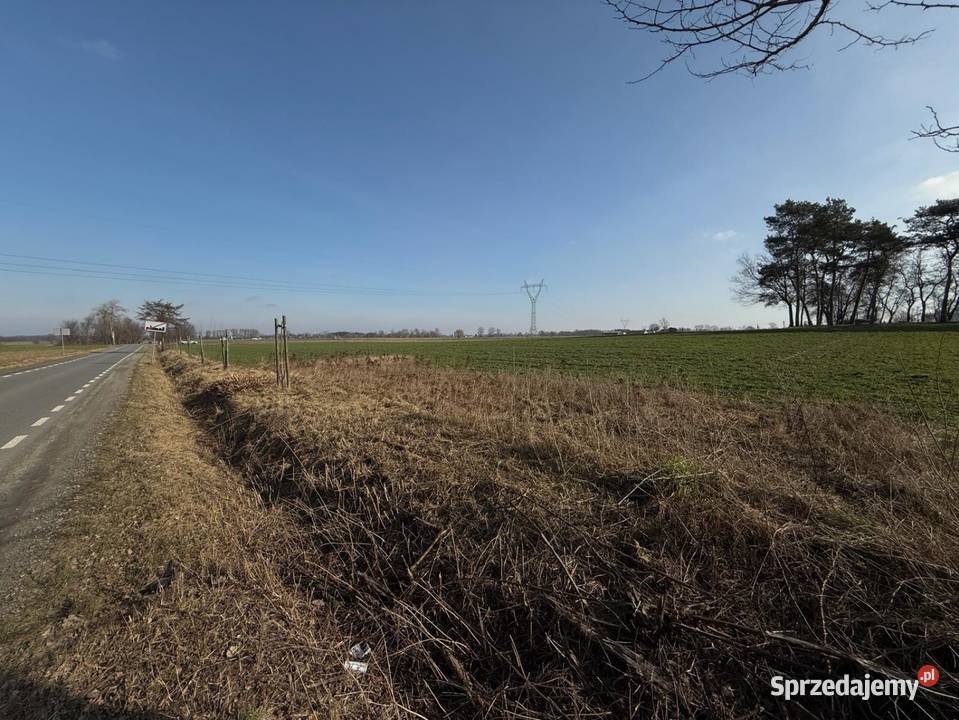 2 działki z możliwością zabudowy w mega Domaniew łódzkie