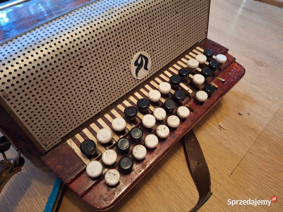 Akordeon Harmonia guzikowa świętokrzyskie Szewna
