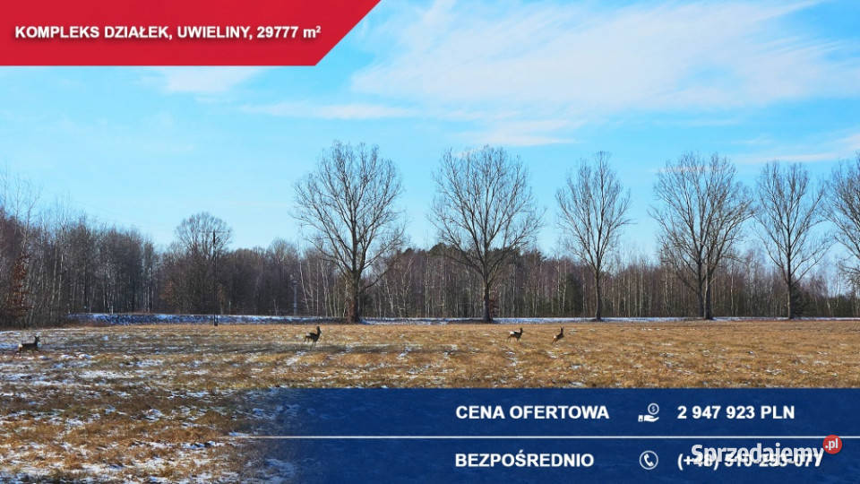Kompleks 21 działek budowlanych 3ha Uwieliny gm mazowieckie