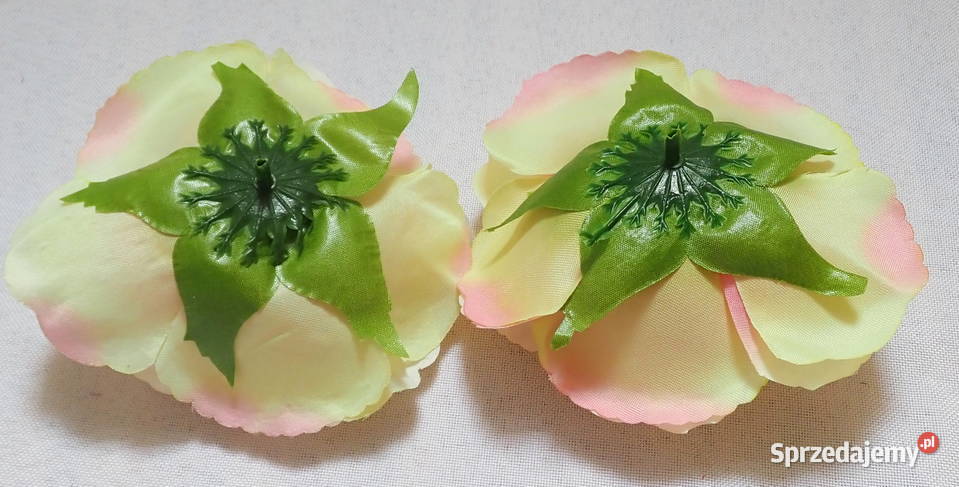 Róże rozwinięte chińskie okazałe 11 Kolory L049 Siewierz