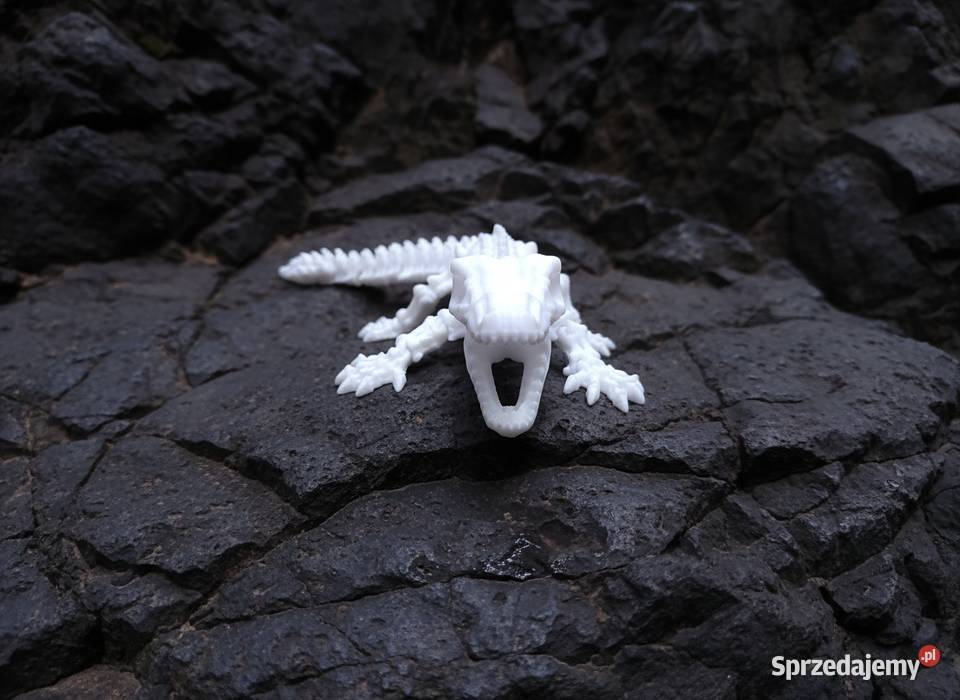 Ruchomy szkielet warana z Komodo 37 elastyczna Krzyszkowice