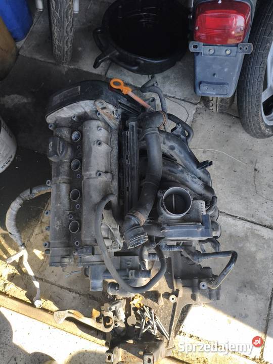 VW Audi Seat Skoda 14 16v BXW silnik na części Tarnów