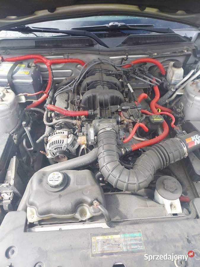 Sprzedam ford mustang 4009cm3 Morąg sprzedam