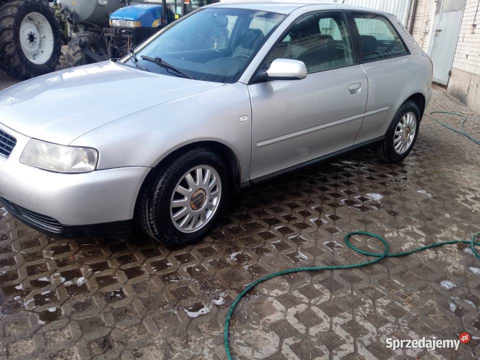 Audi A3 1 6 B automat Audi Czyżew