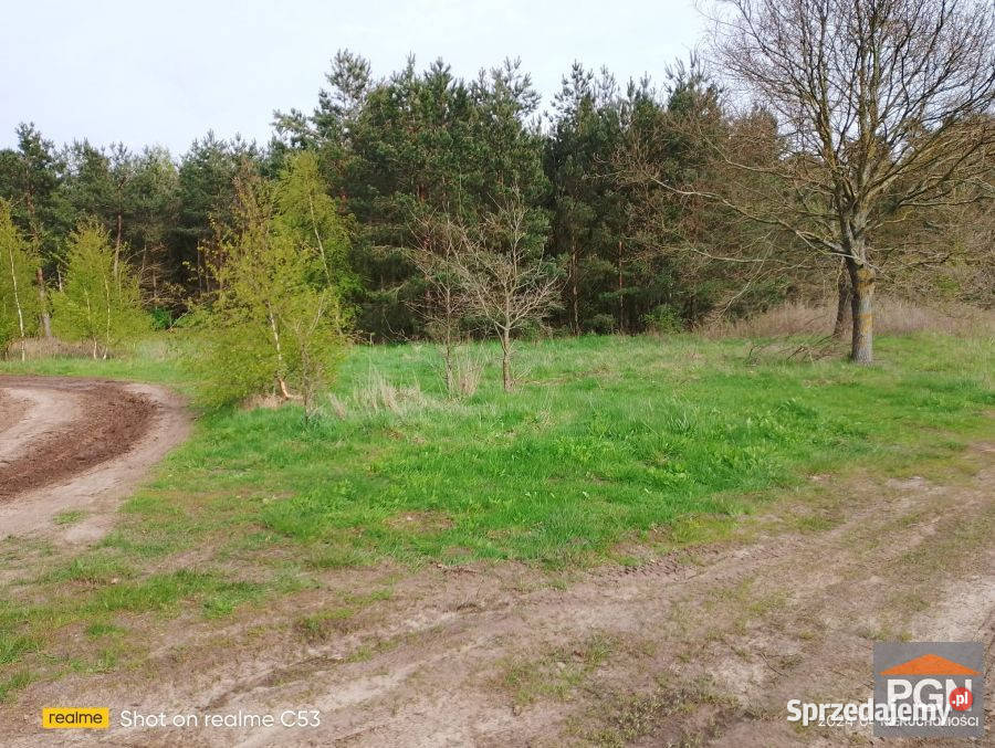 Grunt 4490m2 Dusin Dusin sprzedam